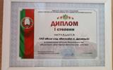 диплом1
